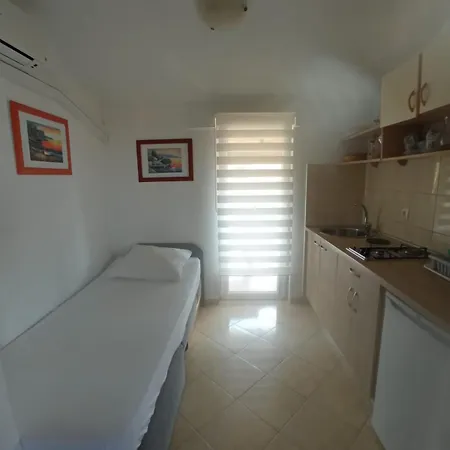 Andelo, Tommy, Leon * Bibinje